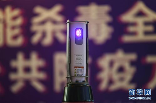 展区攻略｜高颜值黑科技来袭 东博会上的七原生态科技盛宴